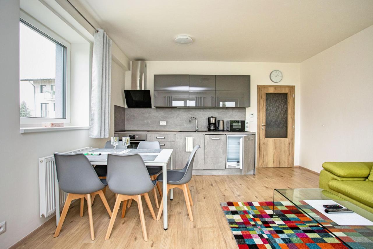 Green Apartment Klinovec By Mountain Ways Loučná pod Klínovcem 외부 사진