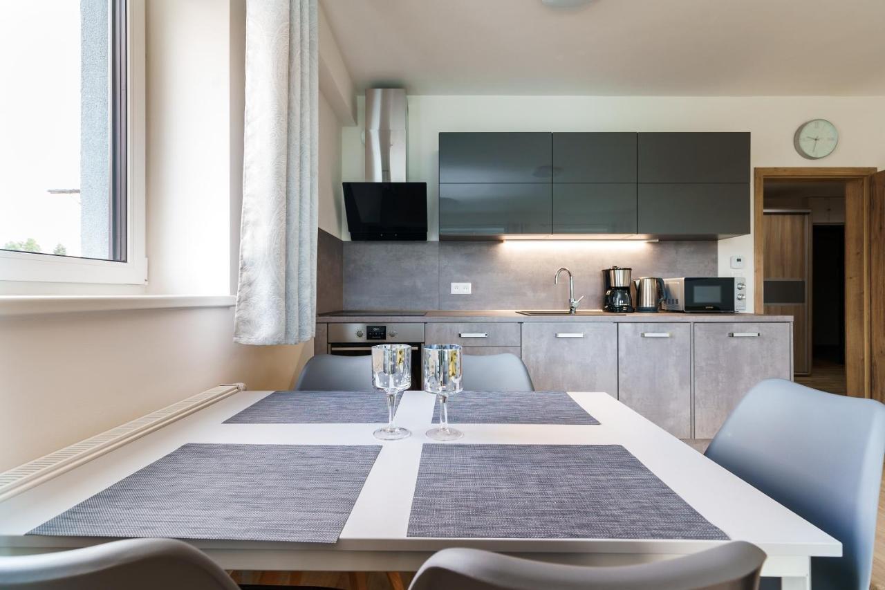 Green Apartment Klinovec By Mountain Ways Loučná pod Klínovcem 외부 사진