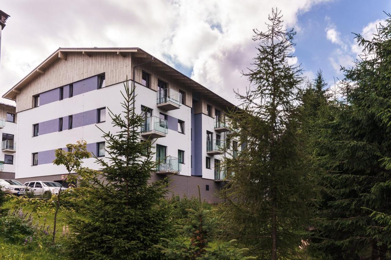 Green Apartment Klinovec By Mountain Ways Loučná pod Klínovcem 외부 사진