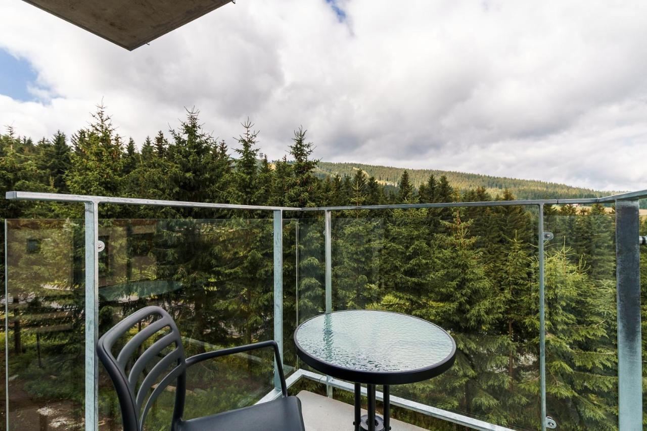 Green Apartment Klinovec By Mountain Ways Loučná pod Klínovcem 외부 사진